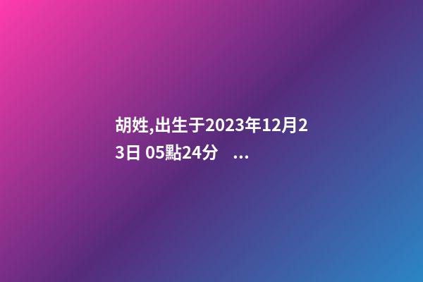 胡姓,出生于2023年12月23日 05點24分，幫忙八字測算并起名